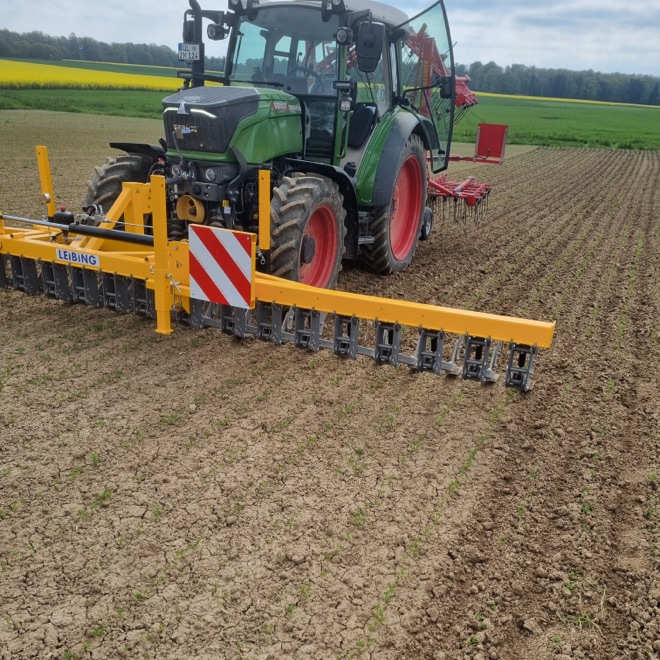 Landwirtschaftliche Hacke zur Beikrautregulierung